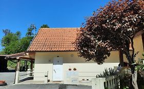 Casas Do Caminho Velho